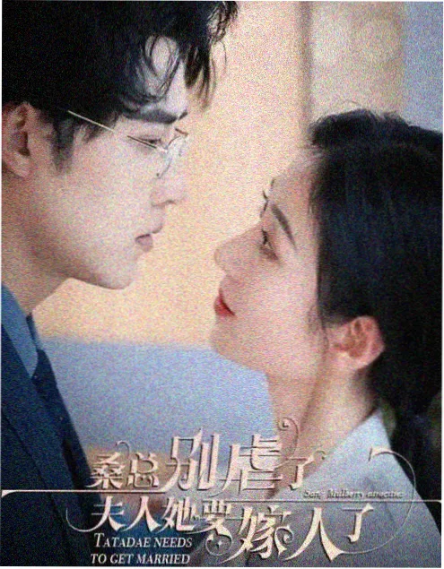 云雀影视免费区片库界面